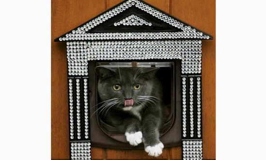 купить домик для кошки